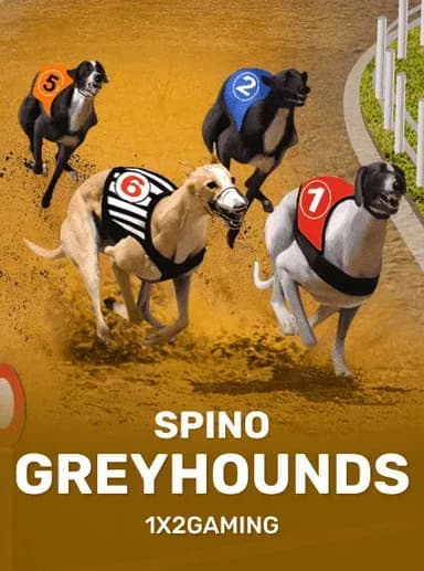 Greyhounds