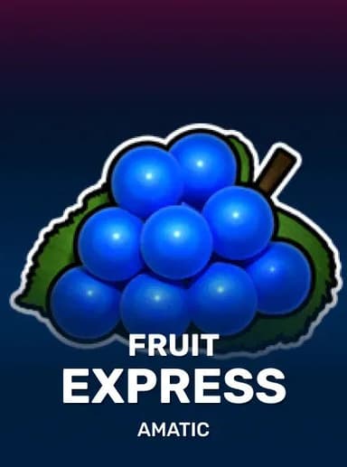 Ludo Express
