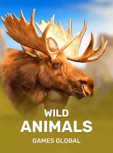 12 Animals